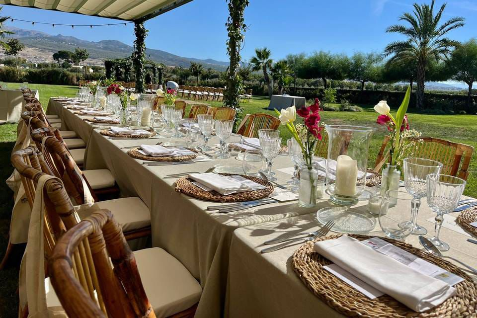 650242e9-b615-4c4e-bada-84b106c48fbc (2)