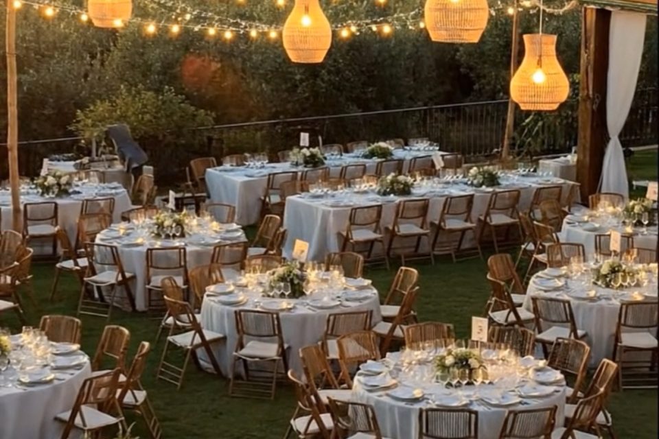 7570034b-806d-41b9-89e7-ce7587f3d86f (1)